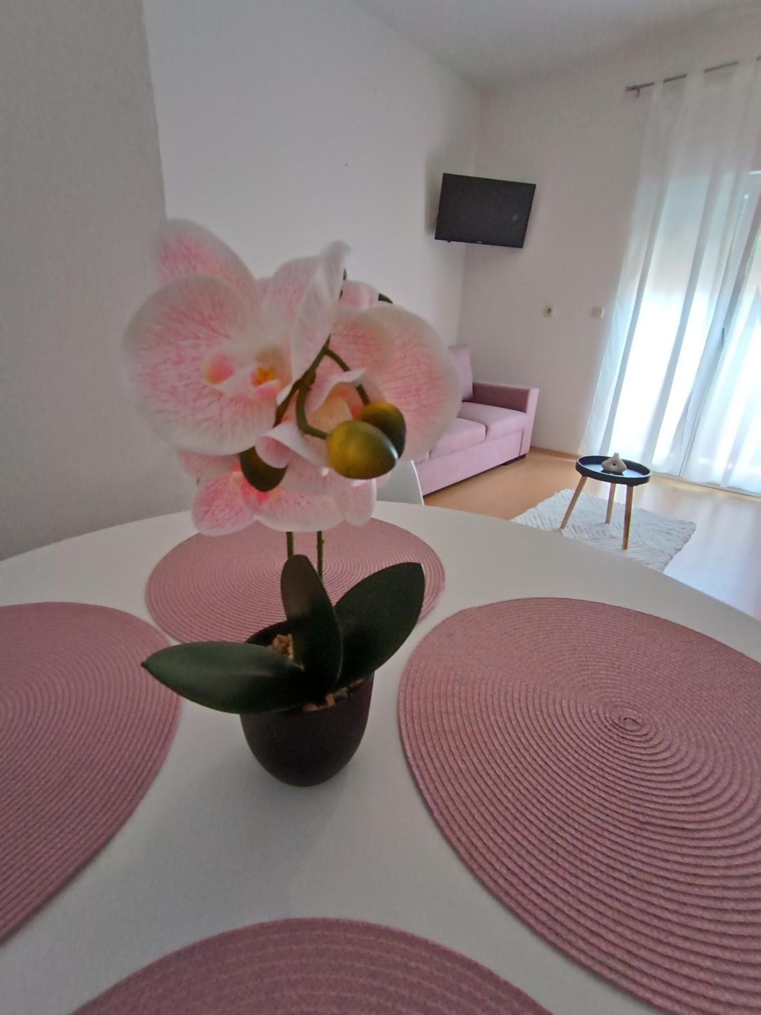 Apartman Lea Sukošan エクステリア 写真